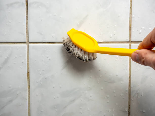 Reliable Poolesville, MD Mold Removal Solutions