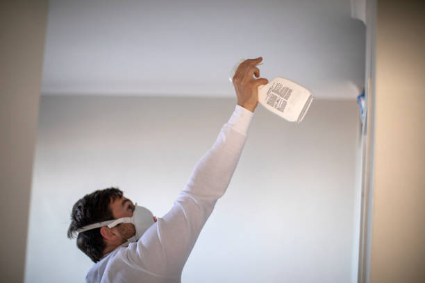 Best Local Mold Removal Service  in Poolesville, MD