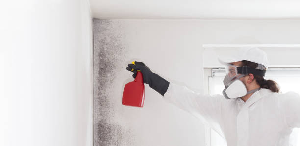 Best Residential Mold Removal  in Poolesville, MD