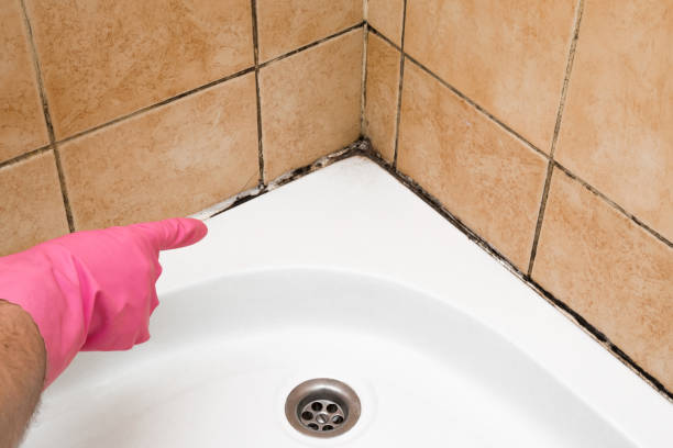 Best Mold Damage Repair  in Poolesville, MD